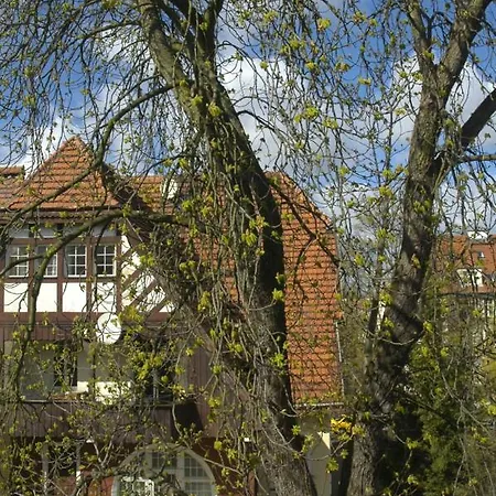 Pod Kasztanowcem